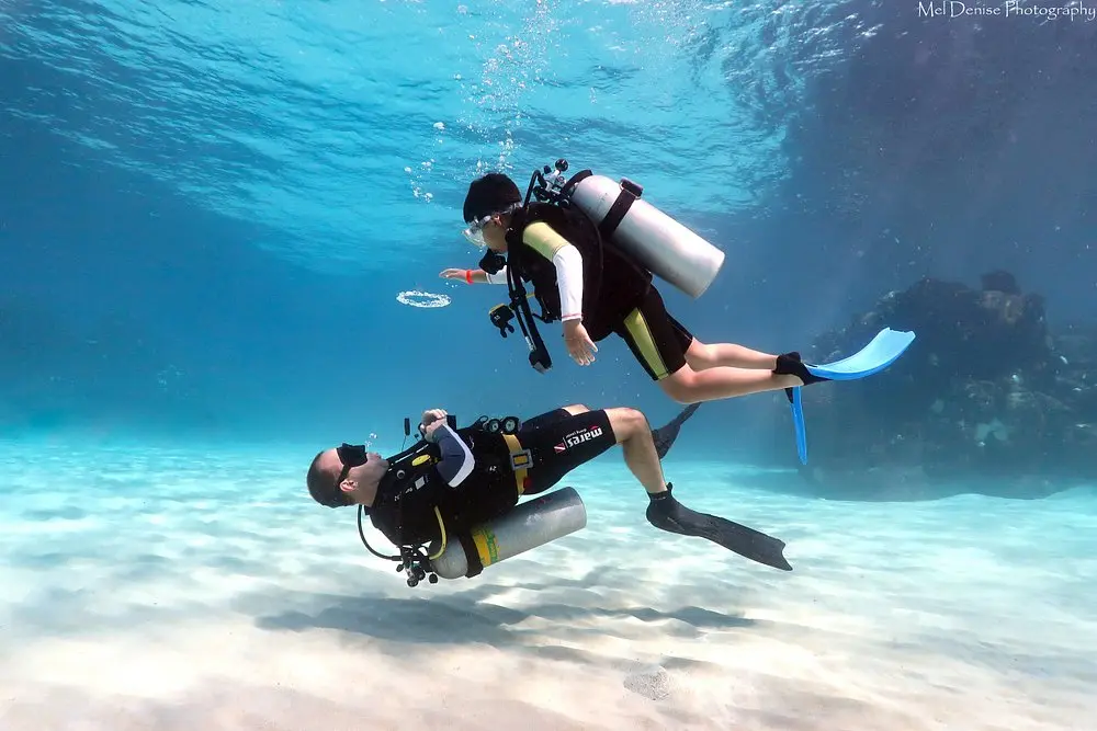 enjoy-first-class-diving.webp