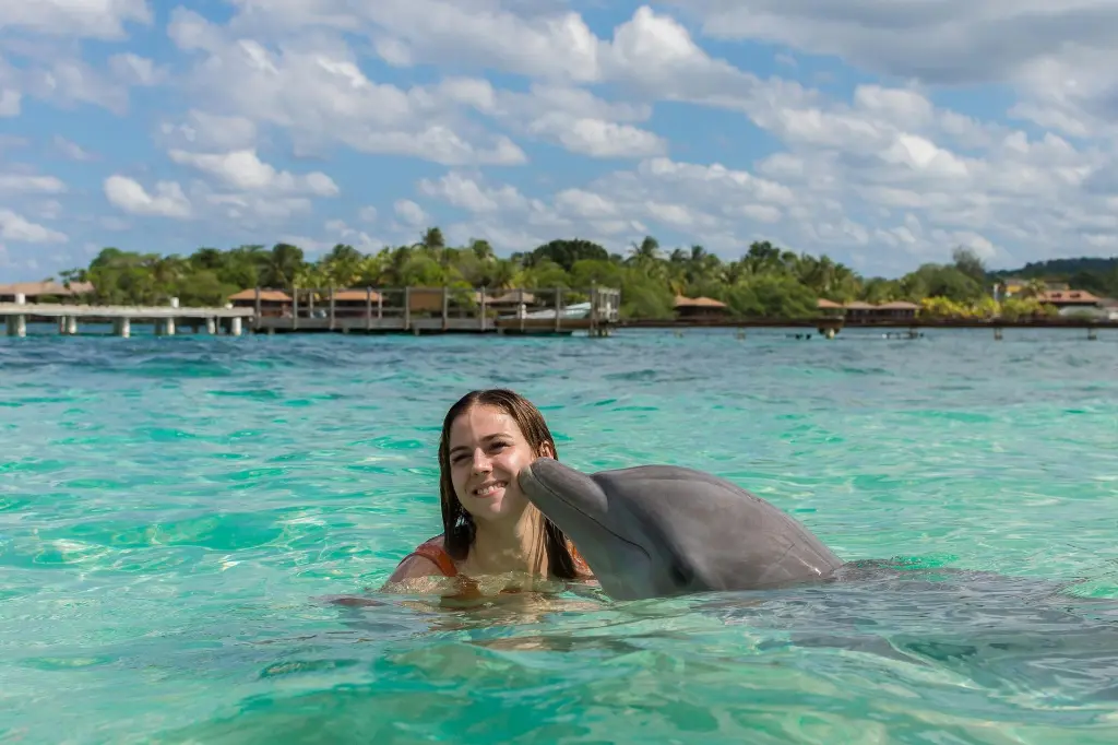 4-delfines-en-anthonys-key-resort_8162134_20240731161331.webp