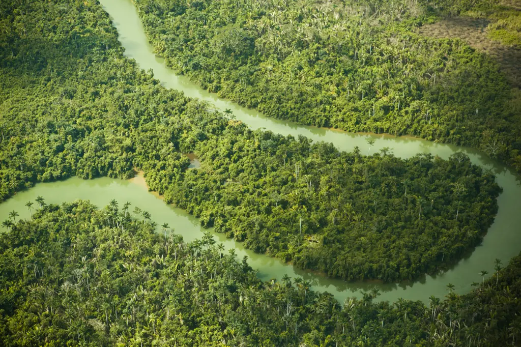 Attraction_Tiles_MonkeyRiver.webp