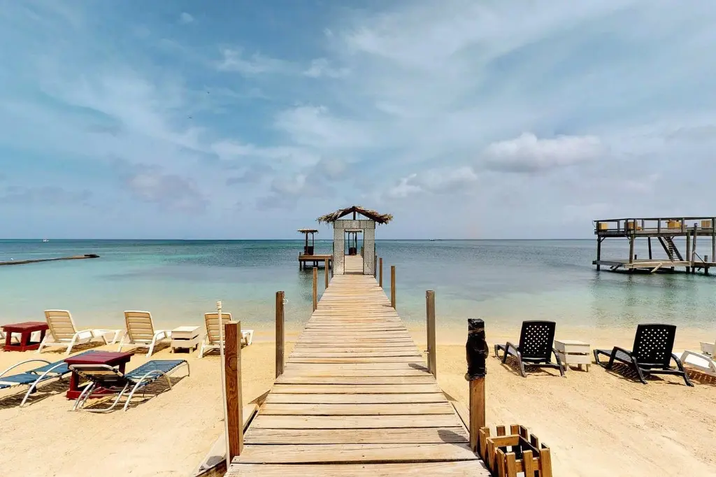 west-end-dive-resort.webp