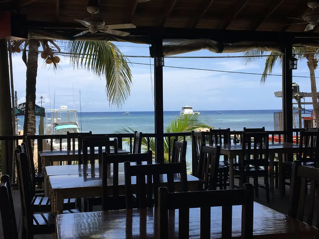 west-end-divers-resort (1).webp