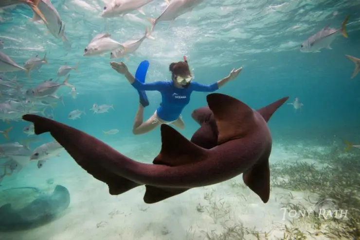 San Pedro Belize – Ferry Package 